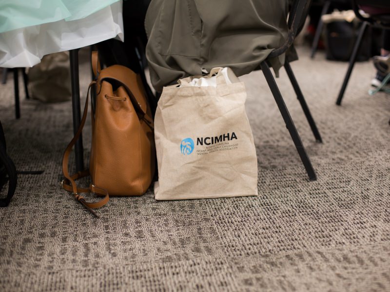 A membership bag with the NC Infant and Early Childhood Mental Health Association logo.